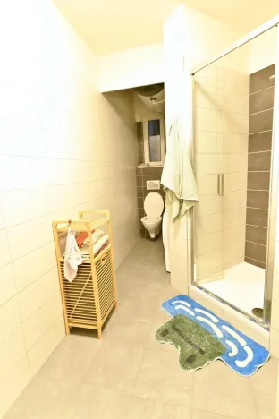 Pronájem bytu 2+kk, Praha - Vinohrady, Polská, 45 m2