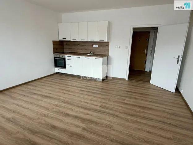 Pronájem bytu 1+kk, Plzeň - Severní Předměstí, Hodonínská, 31 m2