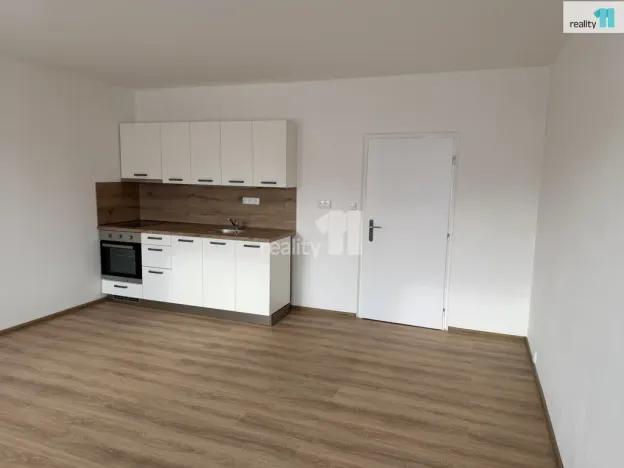 Pronájem bytu 1+kk, Plzeň - Severní Předměstí, Hodonínská, 31 m2