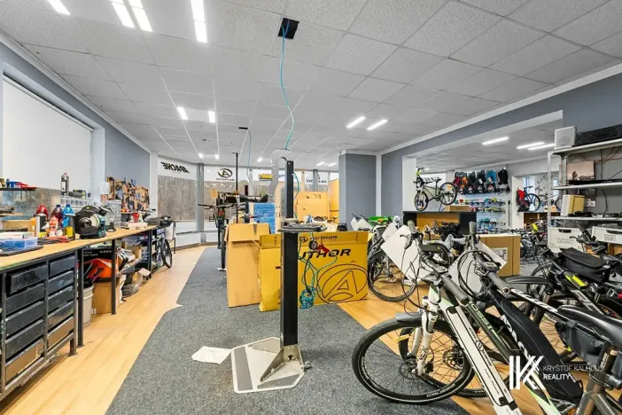 Prodej obchodního prostoru, Pardubice, Přeloučská, 779 m2