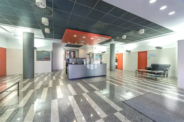 Pronájem obchodního prostoru, Praha - Holešovice, Na Maninách, 360 m2