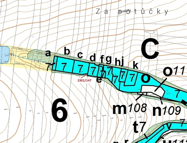 Dražba lesa, Hosty, 19 m2