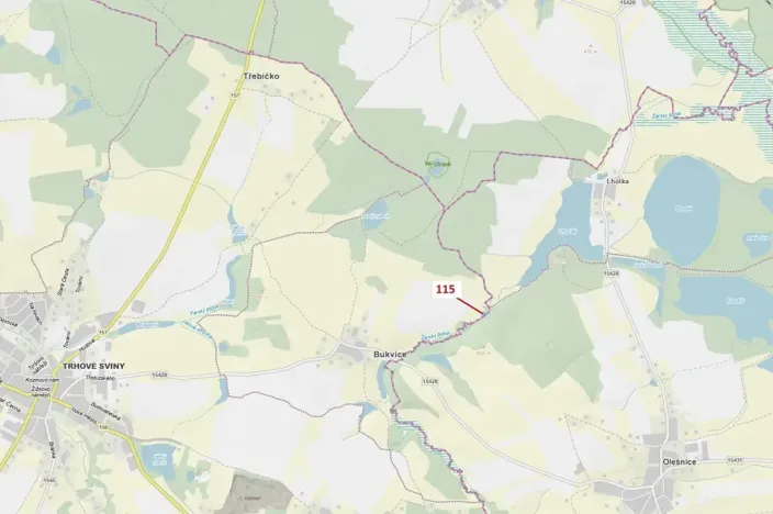 Dražba lesa, Trhové Sviny, 590 m2