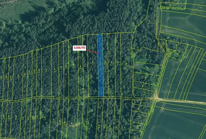 Dražba lesa, Hosty, 1735 m2