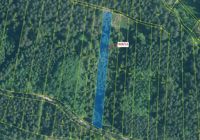 Dražba lesa, Hosty, 1517 m2