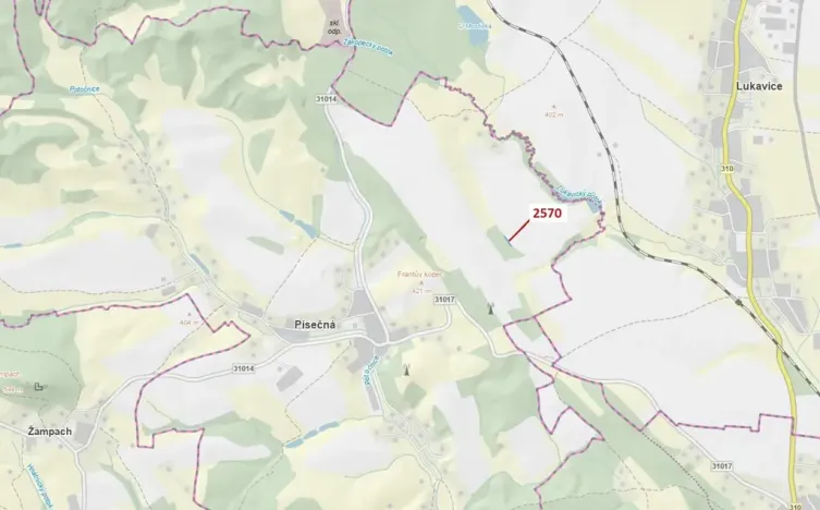 Dražba lesa, Písečná, 447 m2