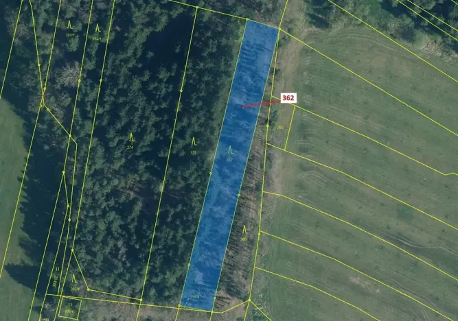 Dražba lesa, Trhové Sviny, 2498 m2