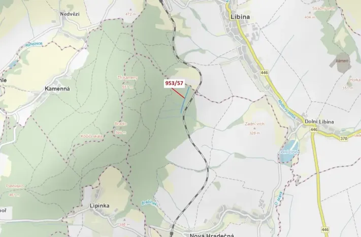 Dražba lesa, Nová Hradečná, 6750 m2