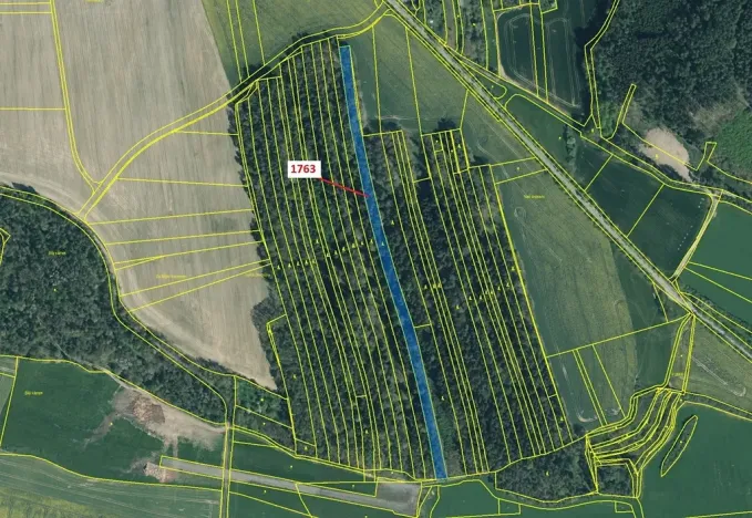 Dražba lesa, Koloveč, 7329 m2