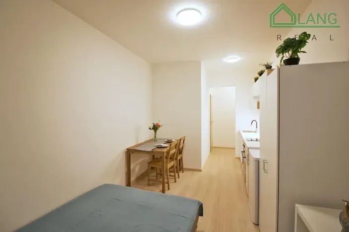 Pronájem bytu 1+kk, Brno, Francouzská, 21 m2