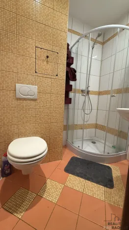 Pronájem bytu 1+kk, Havířov, Karolíny Světlé, 24 m2