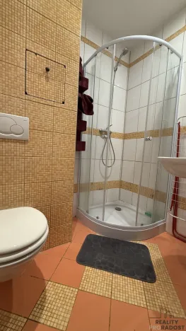 Pronájem bytu 1+kk, Havířov, Karolíny Světlé, 24 m2