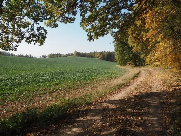 Prodej pozemku pro bydlení, Zlobice, 828 m2