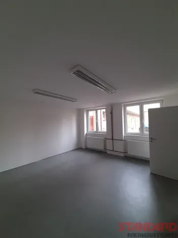Pronájem komerční nemovitosti, Lužany, 50 m2