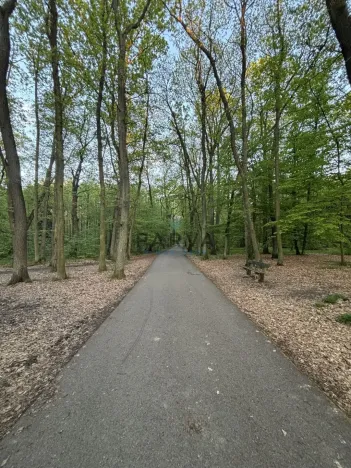 Pronájem bytu 3+1, Praha - Chodov, Láskova, 71 m2