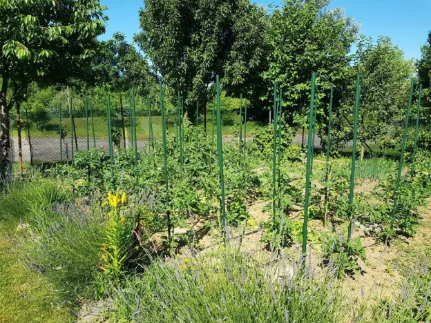 Prodej zahrady, Kroměříž, Kaplanova, 529 m2