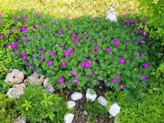 Prodej zahrady, Kroměříž, Kaplanova, 529 m2