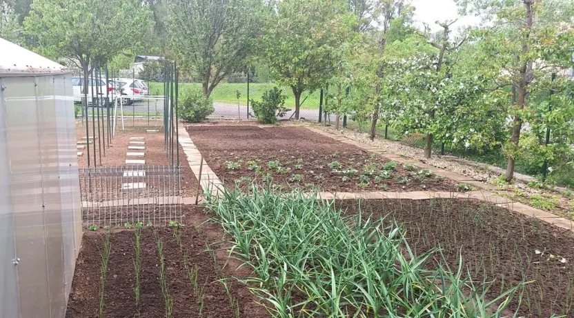 Prodej zahrady, Kroměříž, Kaplanova, 529 m2