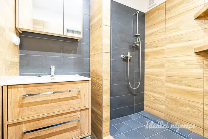 Pronájem bytu 3+kk, Praha - Chodov, Nechvílova, 67 m2