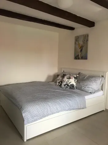 Prodej vinného sklepa, Čejkovice, 66 m2