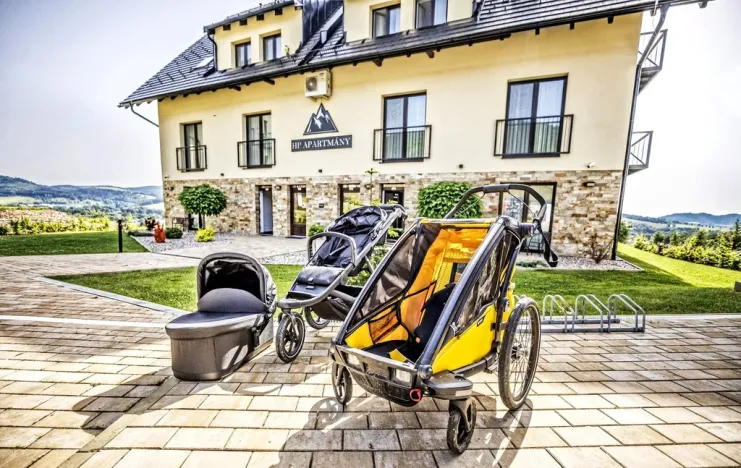 Prodej apartmánu, Červená Voda - Mlýnický Dvůr, 180 m2