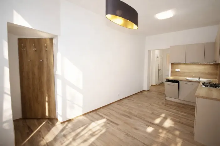 Pronájem bytu 2+kk, Praha - Žižkov, Chelčického, 48 m2