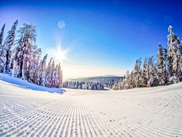 Prodej bytu 2+kk, Červená Voda - Mlýnický Dvůr, 180 m2