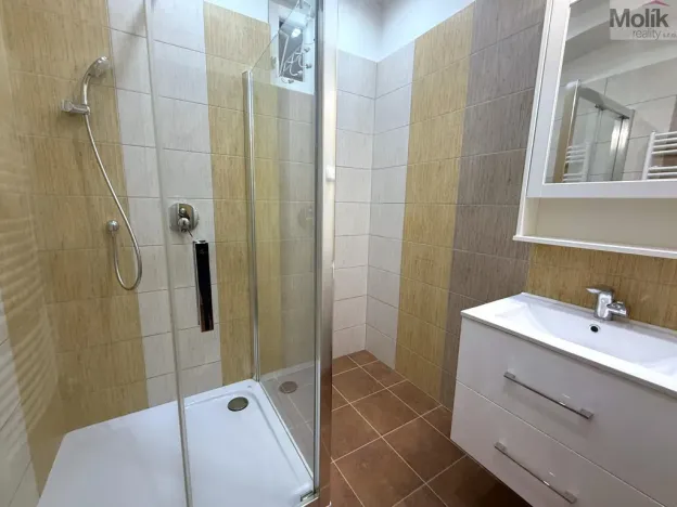 Pronájem bytu 2+1, Teplice, J. V. Sládka, 78 m2