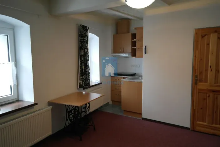 Pronájem bytu 1+kk, Plzeň, V Úhlu, 20 m2