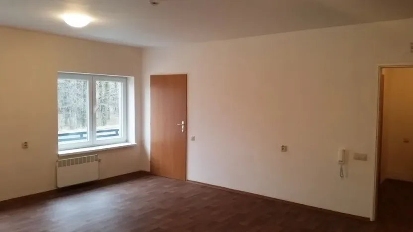 Pronájem bytu 1+kk, Bílý Potok, 39 m2