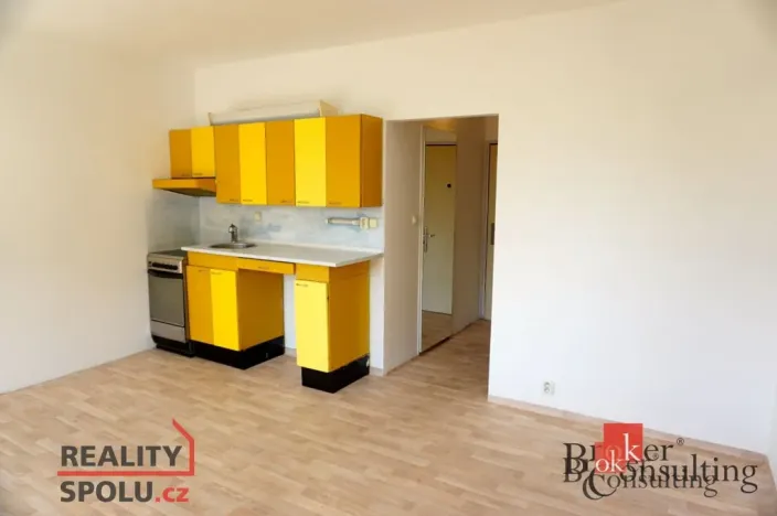 Pronájem bytu 1+kk, Plzeň - Severní Předměstí, Elišky Krásnohorské, 33 m2