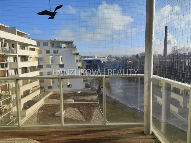 Pronájem bytu 2+kk, České Budějovice - České Budějovice 2, Volejbalistů, 52 m2