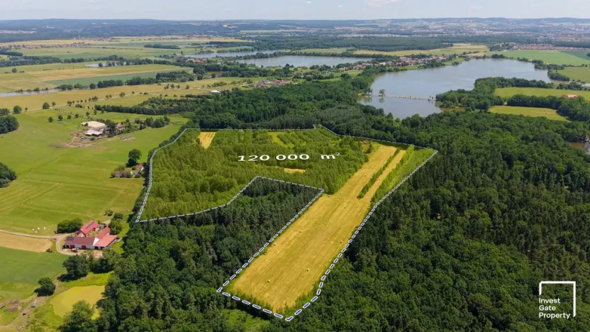 Prodej komerčního pozemku, Čejkovice, 121779 m2