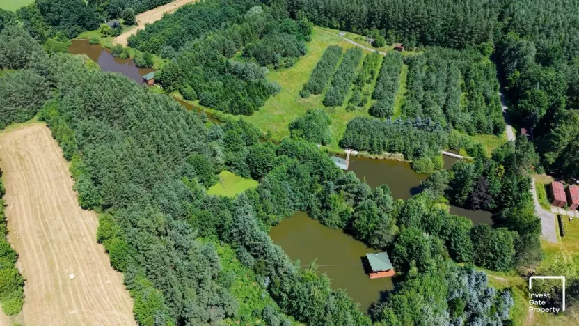 Prodej komerčního pozemku, Čejkovice, 121779 m2