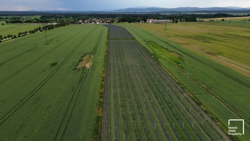 Prodej zemědělského objektu, Čejkovice, 32904 m2
