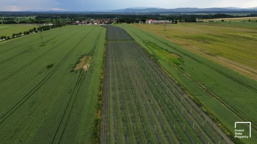 Prodej zemědělského objektu, Čejkovice, 32904 m2
