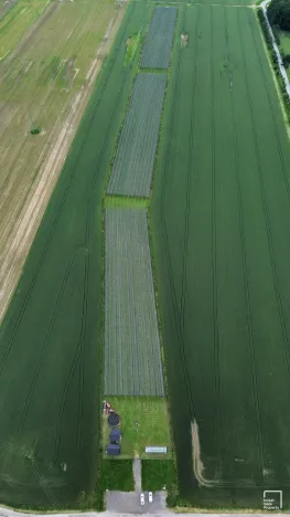 Prodej zemědělského objektu, Čejkovice, 32904 m2