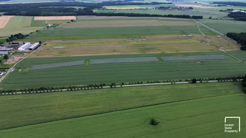 Prodej zemědělského objektu, Čejkovice, 32904 m2