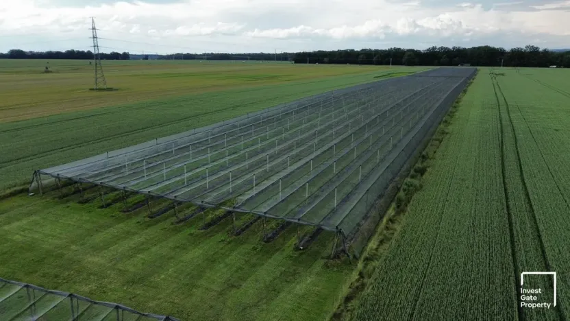 Prodej zemědělského objektu, Čejkovice, 32904 m2