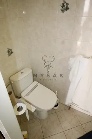 Pronájem bytu 1+1, České Budějovice - České Budějovice 1, Kněžská, 30 m2