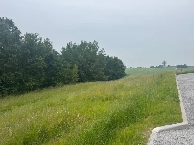 Prodej pozemku, Slavče - Dobrkovská Lhotka, 1251 m2