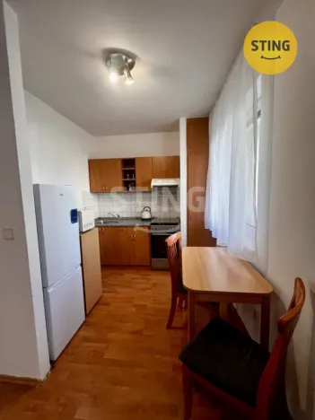Pronájem bytu 1+kk, Ostrava, Horní, 38 m2