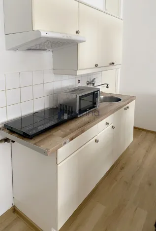 Pronájem bytu 1+kk, Praha, Slezská, 29 m2