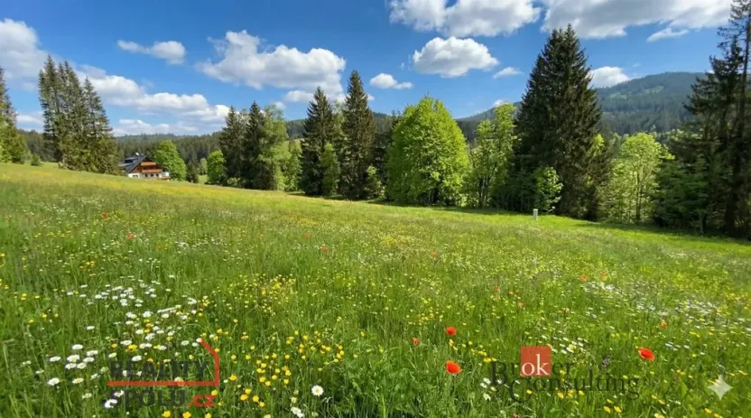 Prodej louky, Železná Ruda, 3475 m2