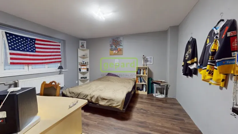 Prodej rodinného domu, Litvínov, Mlýnská, 250 m2