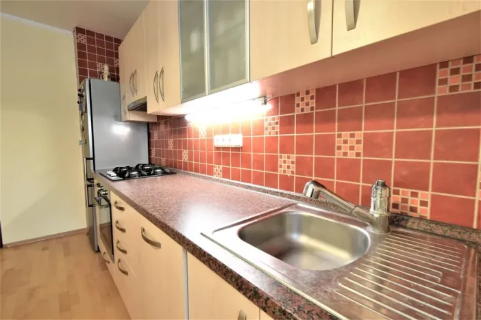 Pronájem bytu 2+1, Brno - Štýřice, Renneská třída, 60 m2