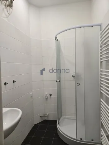 Pronájem bytu 1+kk, Praha, Spálená, 30 m2