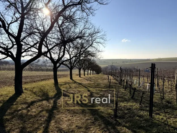 Prodej pozemku, Svatobořice-Mistřín, 3501 m2