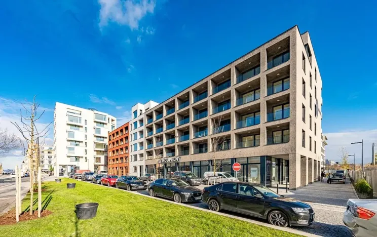 Pronájem bytu 1+kk, Praha - Žižkov, Tetauerova, 33 m2