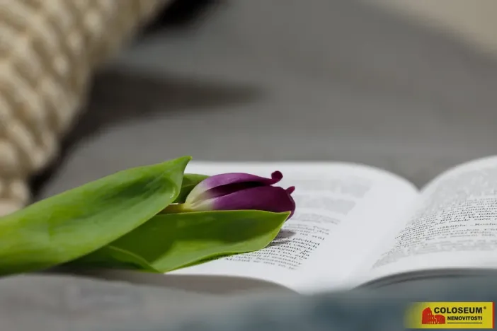 Prodej bytu 2+1, Brno - Veveří, 67 m2